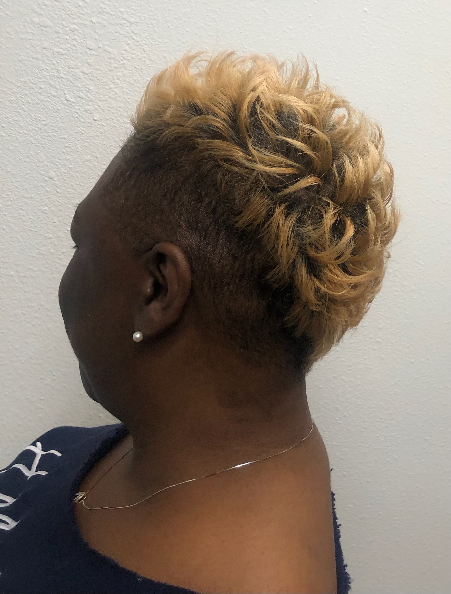 sample style image