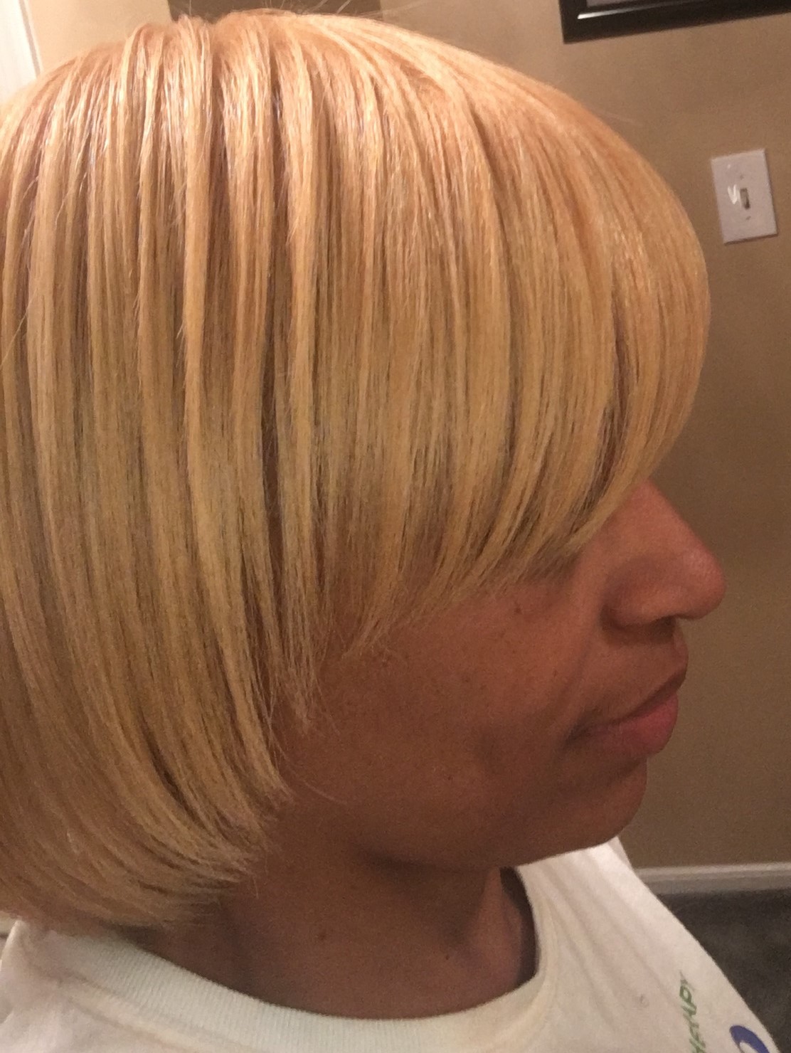 sample style image