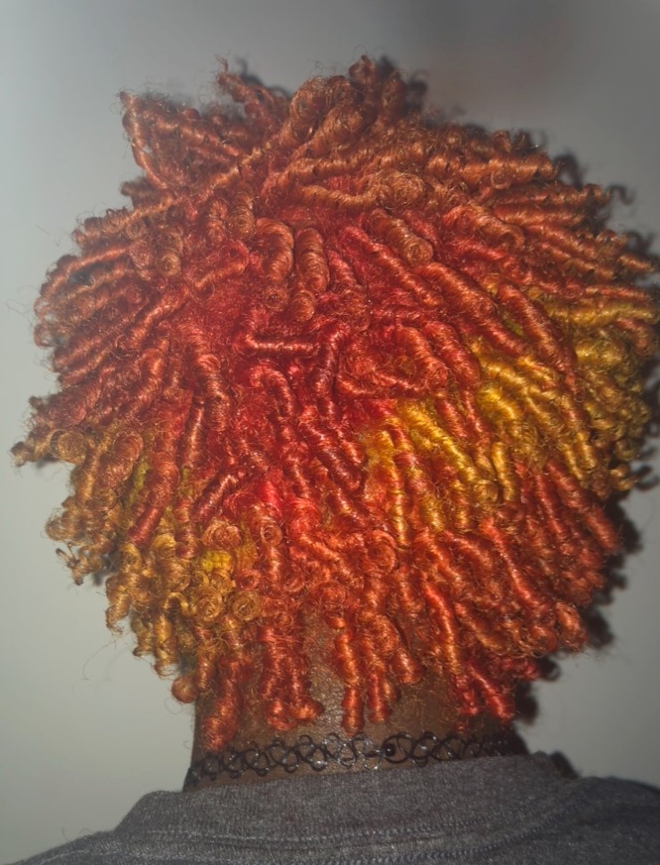sample style image