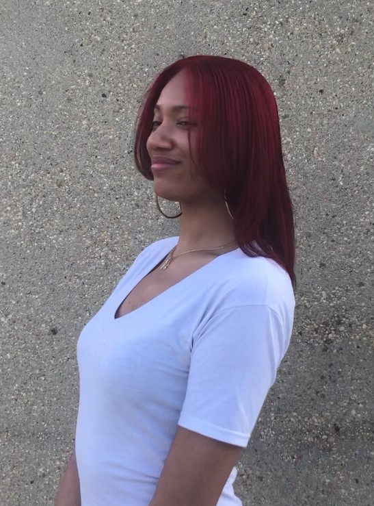 sample style image